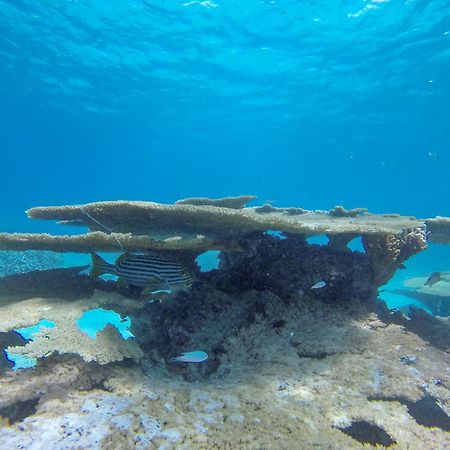 Ukulhas Beach Inn Zewnętrze zdjęcie