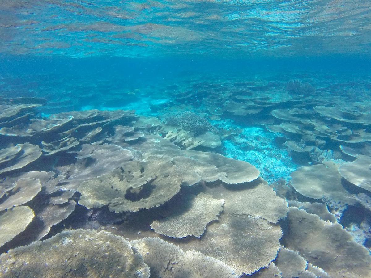Ukulhas Beach Inn Zewnętrze zdjęcie