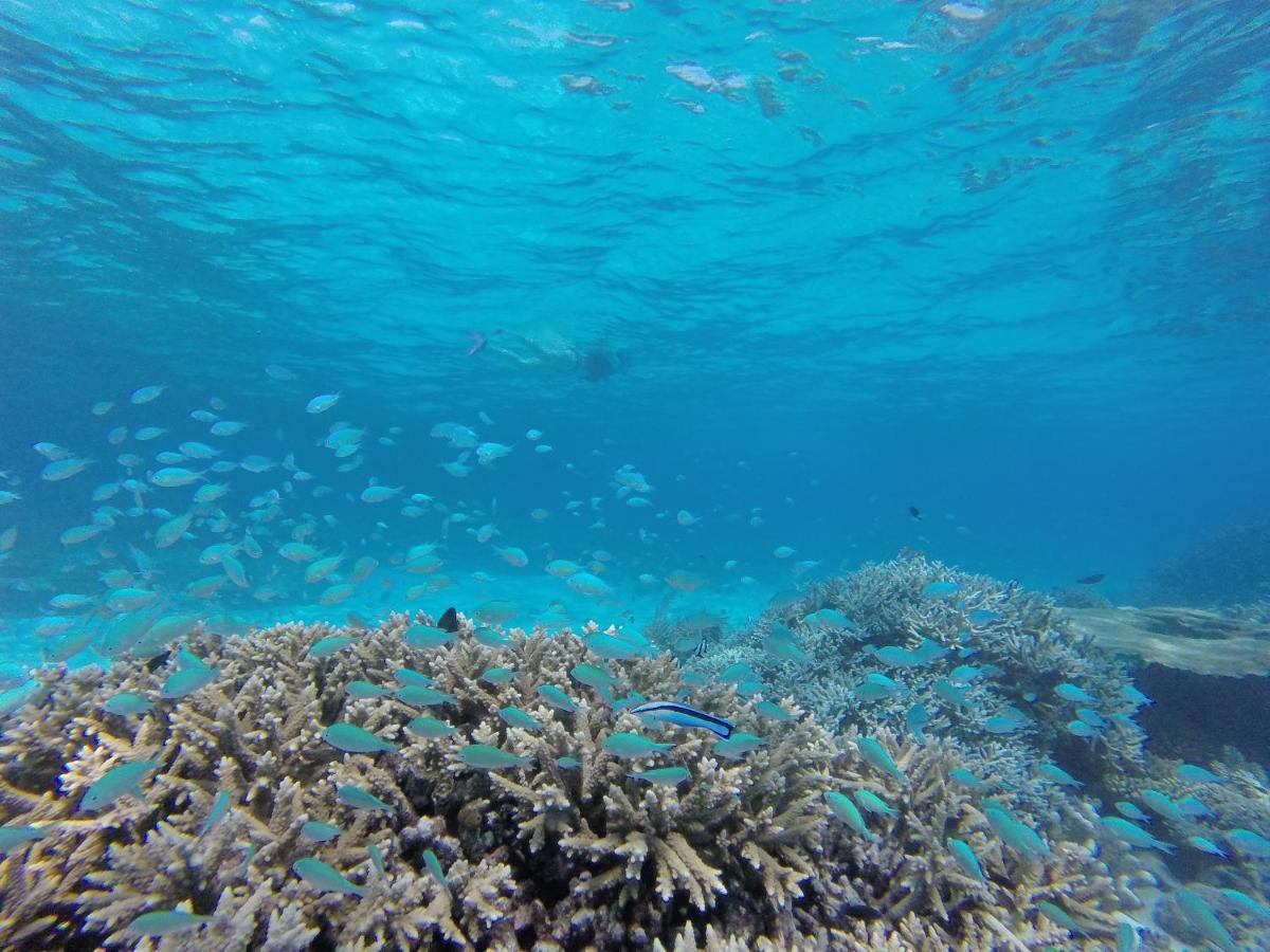 Ukulhas Beach Inn Zewnętrze zdjęcie